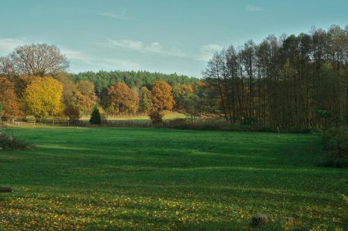 Gut Settin Am See - Ferienh�user