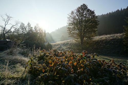 Posada Gasthaus Stollm�hle