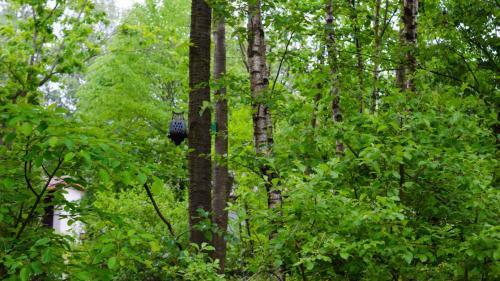 Ferienpark Grafschaft Bentheim
