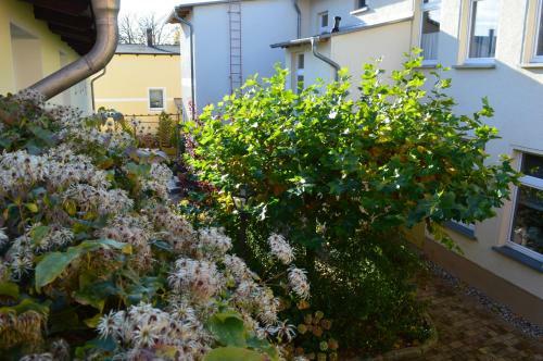 Hostal Pension Und G�stehaus Grothe