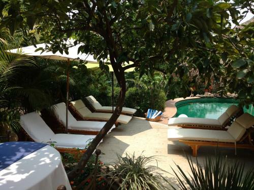 Bed & Breakfast Casa D'lobo Hotel Boutique