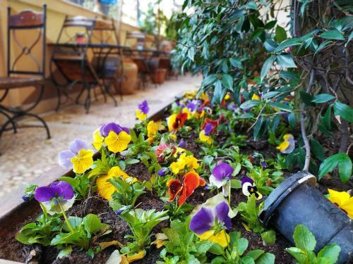 Hotel Best Western Antea Palace