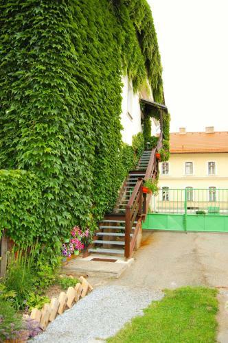 Hostal Penzion Eliska