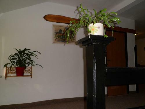 Hostal Pension Rychta