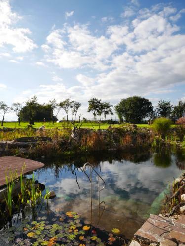 Hostal Wellness Hotel Bo?� Oko