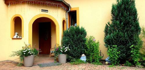 Hostal Penzion U S�kor?