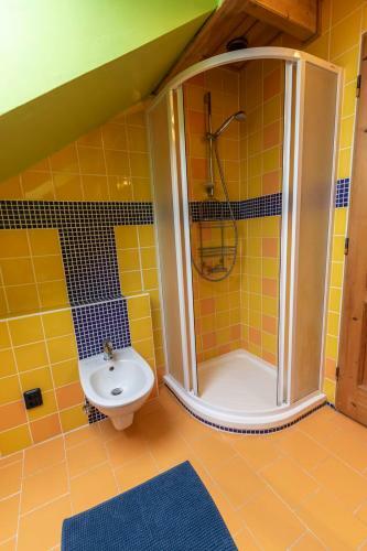 Hostal Penzion U Vichu