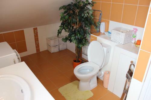 Orange Loft Apartment