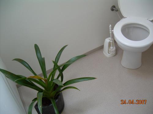 Hostal Pension U V�clava