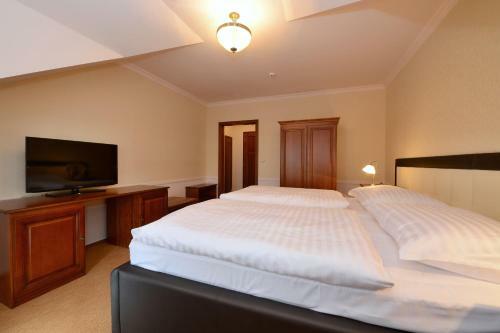 Hotel Gold Chotoviny