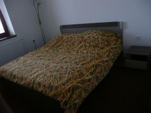 Hostal Penzion Lipina