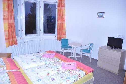 Hostal Penzion Vila Victoria