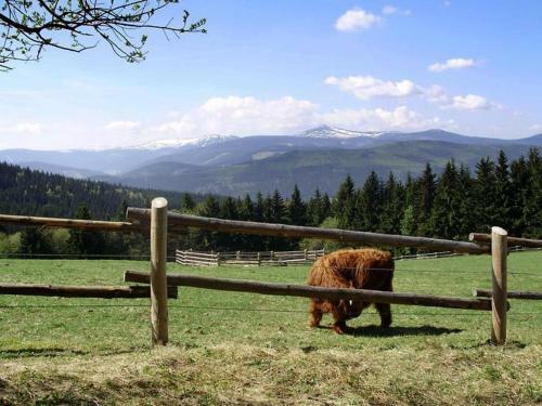 Hostal Pension & Restaurace Zelen� Ml�n