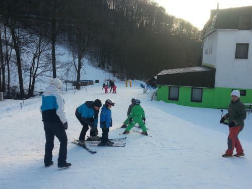 Hostal Pension & Restaurace Zelen� Ml�n