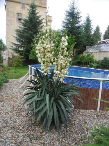 Hostal Kam�lie