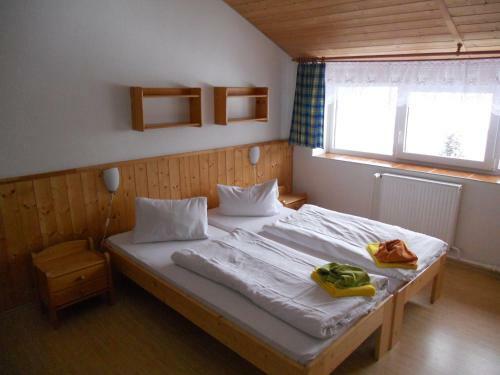 Hostal Penzion Kamzik