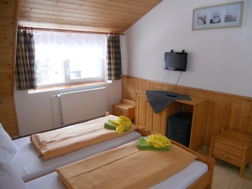 Hostal Penzion Kamzik