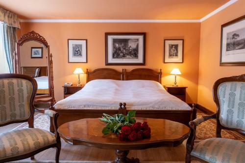 Hotel Z�mek ?ti?�n