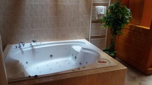 Hotel Z�me?ek Pod Hradem