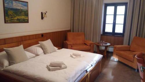 Hotel Z�me?ek Pod Hradem
