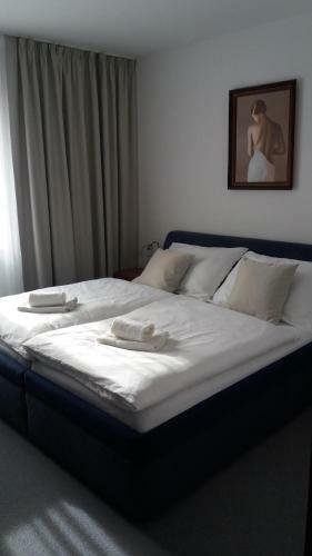 Hotel Z�me?ek Pod Hradem
