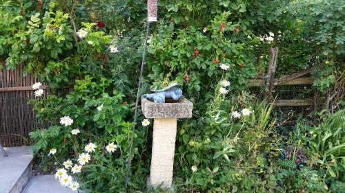 Hungarton Bed & Breakfast