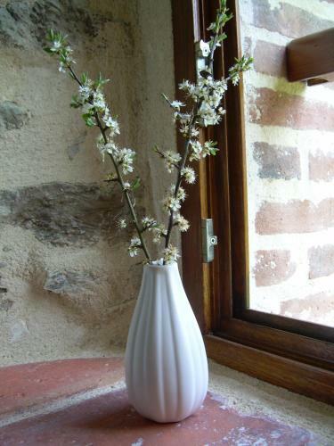 Bed & Breakfast Moulin De Drapras
