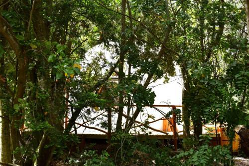 Llaimadomo Lodge