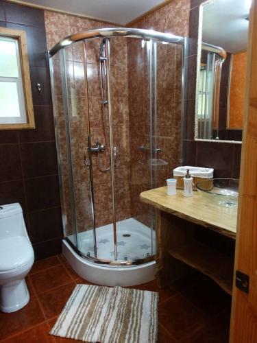 Caba�as Tranquihue Llifen