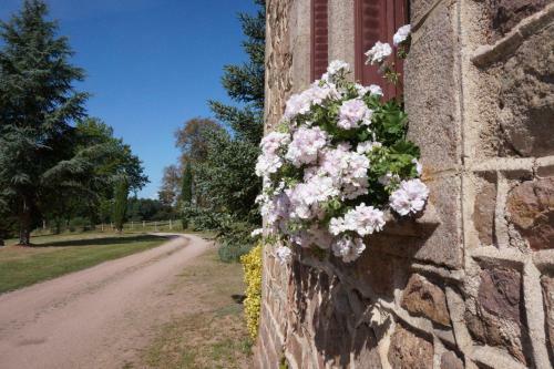 Ch�teau De Bussolles & 2 G�tes