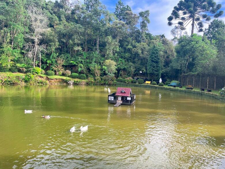 Hotel Golden Park Campos