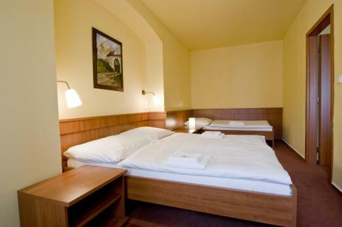 Hotel Zlat� Hv?zda