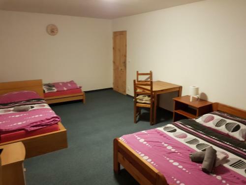 Hostal Penzion Hamersk� Jizba