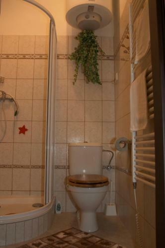 Hostal Penzion ?umavous