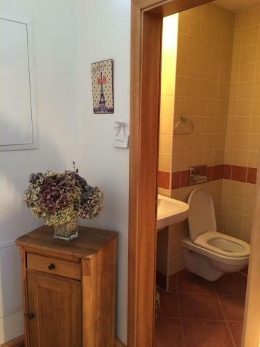 Hostal U Svat�ho Prokopa