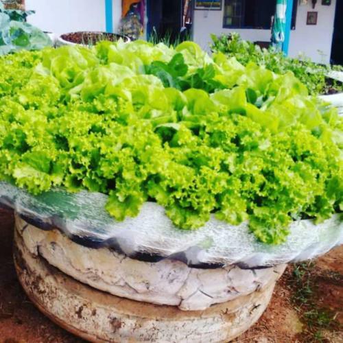 Pousada Shangril�