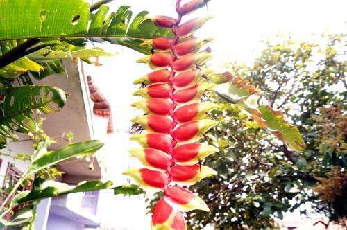 Hostal Pousada Namast�