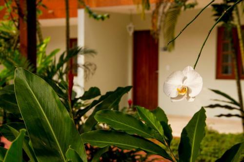 Hostal Pousada Larimor