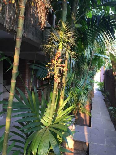 Apartamento Vila Flor Camburizinho Flats