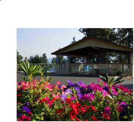 Motel Swiss Holiday Lodge