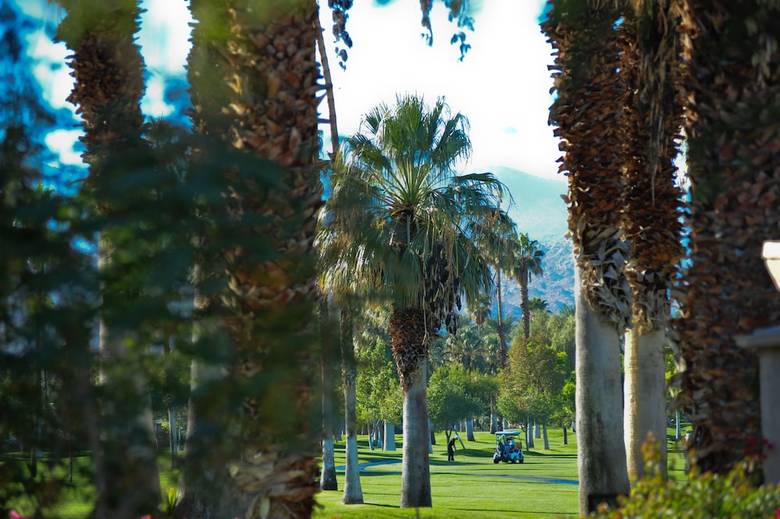 Hotel Shadow Mountain Resort & Club