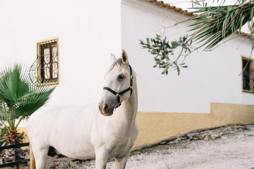 Agroturismo Herdade D. Pedro