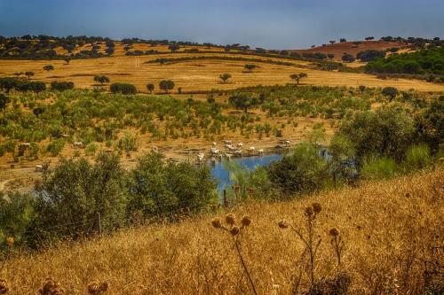 Agroturismo Herdade D. Pedro