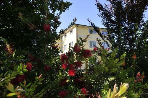 Hotel Ai Lecci In Centro
