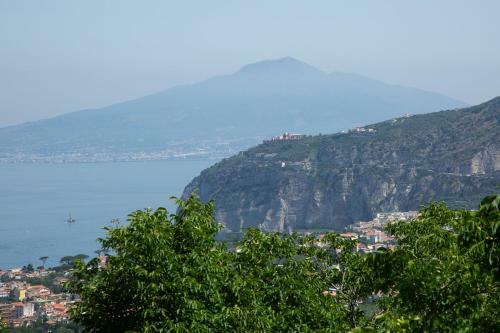 Bed & Breakfast L' Arancio In Fiore