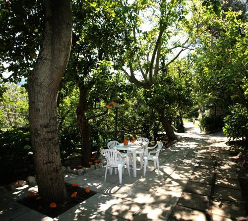 Bed & Breakfast L' Arancio In Fiore