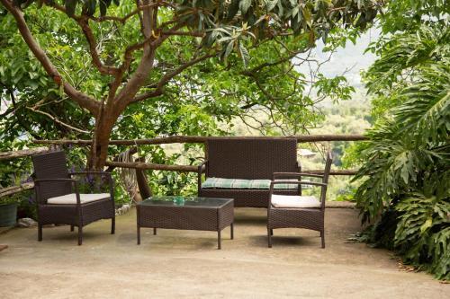 Bed & Breakfast L' Arancio In Fiore