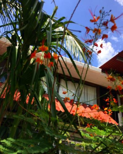 Hotel Flamingo Cabinas