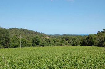Agroturismo Finca Bell-lloc