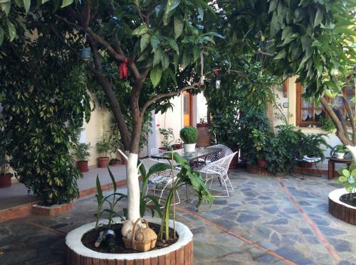 Hostal Nopi Pension